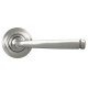 Avon Sprung Lever Door Handle on Art Deco Rose Set - Satin Marine Stainless Steel