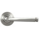 Avon Sprung Lever Door Handle on Beehive Rose Set - Satin Marine Stainless Steel