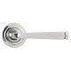 Avon Sprung Lever Door Handle on Art Deco Rose Set - Polished Marine Stainless Steel