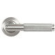 Brompton Unsprung Lever Door Handle on Art Deco Rose Set - Satin Marine Stainless Steel