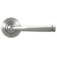 Avon Unsprung Lever Door Handle on Round Rose Set - Satin Marine Stainless Steel