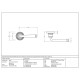 Avon Unsprung Lever Door Handle on Beehive Rose Set - Satin Marine Stainless Steel