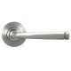 Avon Unsprung Lever Door Handle on Beehive Rose Set - Satin Marine Stainless Steel