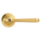 Avon Sprung Lever Door Handle on Round Rose Set - Polished Brass