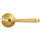 Avon Sprung Lever Door Handle on Beehive Rose Set - Polished Brass