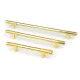 Judd Pull Handle - Polished Brass