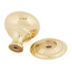 Polished Brass Mushroom Cabinet Knob