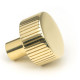 Polished Brass Judd Cabinet Knob