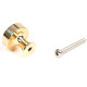 Polished Brass Scully Cabinet Knob