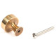Aged Brass Scully Cabinet Knob