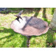 Flower Bird Bath