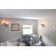 Hand Forged Double Tangle Electric Wall Sconce