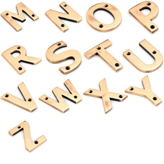 Polished Bronze Letters/House Numbers