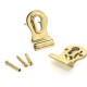 Period Euro Door Pull with Back-To-Back Fixings - Polished Brass