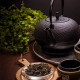 Japanese Cast Iron Tea Pot