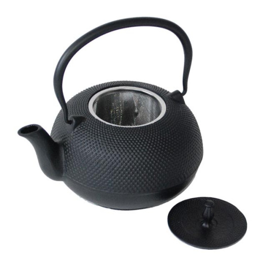 Japanese Cast Iron Tea Pot