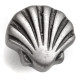 Shell Cabinet Knob