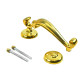 Doctors Door Knocker - Polished Brass