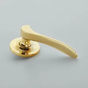 Polished Brass Unlacquered (PBUL)