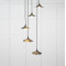 Smooth Nickel Flora Cluster Pendant Light  in Dingle