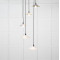 Smooth Brass Flora Cluster Pendant Light  in Birch