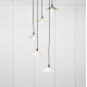Smooth Brass Flora Cluster Pendant Light  in Birch