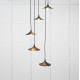 Smooth Brass Flora Cluster Pendant Light  in Elan Black