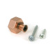 Polished Bronze Kahlo Cabinet Knob - 25mm