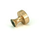 Polished Bronze Scully Cabinet Knob - 25mm