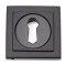 Aged Bronze Square Escutcheon