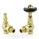 Amberley Thermostatic Radiator Valves - Polished Brass Angled TRV