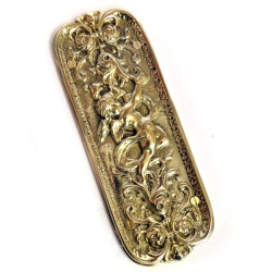 Brass Cherub Finger Plate