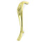 Brass Lion Pull Handle