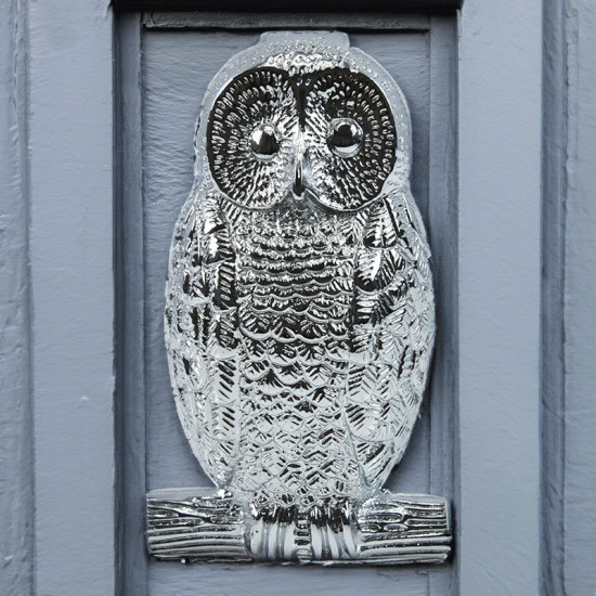 Chrome Owl Door Knocker