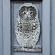 Chrome Owl Door Knocker