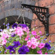 Cast Iron Hanging Basket Bracket