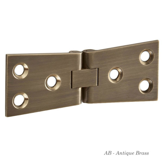 Counterflap Hinges Special Finished