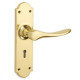 Ornate Cambridge Lever Door Handle
