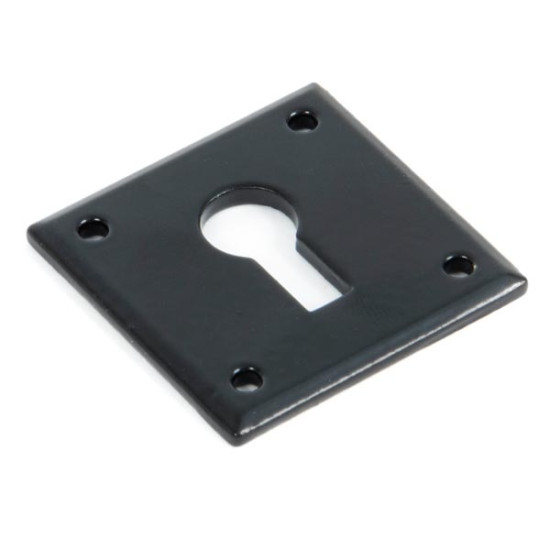 Traditional Blacksmith Avon Escutcheon