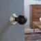 Beehive Ebony Knob Set with Nickel Roses