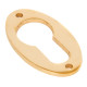 Polished Brass Oval Euro Escutcheon