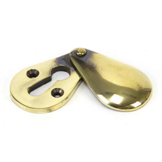 Aged Brass Escutcheon