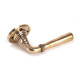 Newbury Lever on Rose Set - Polished Bronze