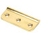 Polished Brass Dummy Butt Hinge