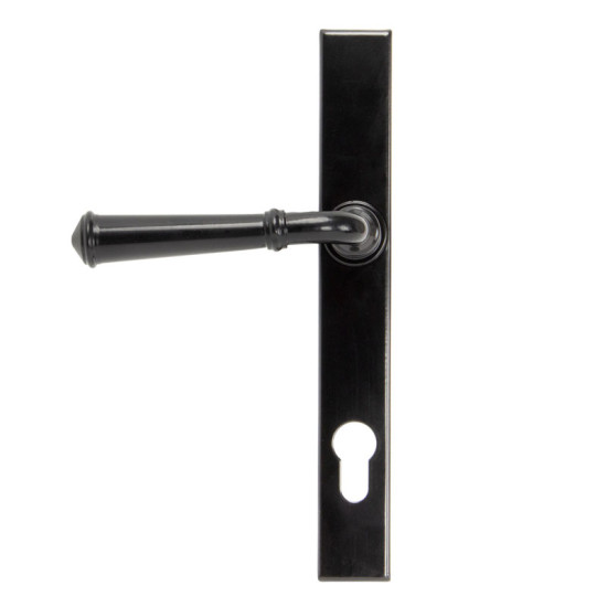 Traditional Blacksmith Regency Slimline Sprung Lever Lock Set