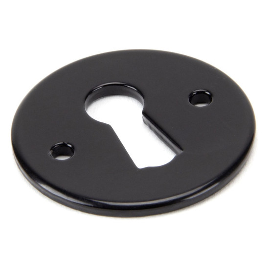 Traditional Blacksmith Regency Escutcheon