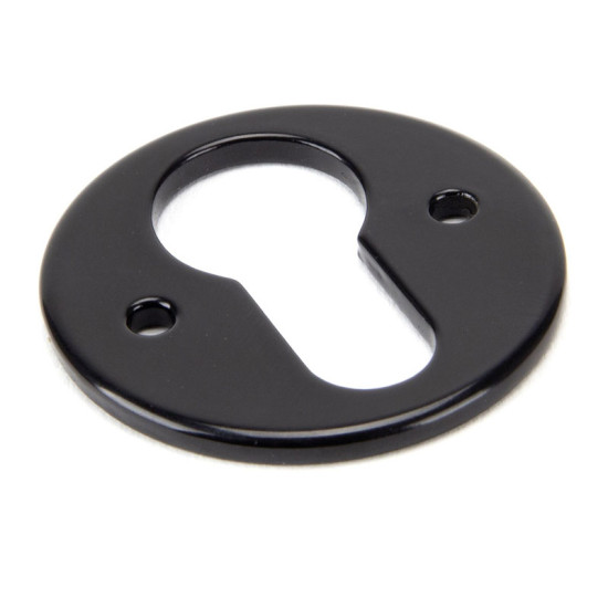 Traditional Blacksmith Regency Euro Escutcheon