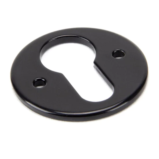 Traditional Blacksmith Regency Euro Escutcheon