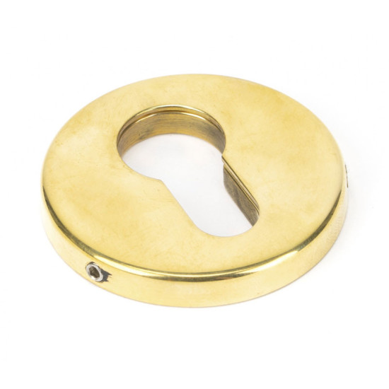 Aged Brass Regency Concealed Euro Escutcheon