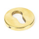 Aged Brass Regency Concealed Euro Escutcheon